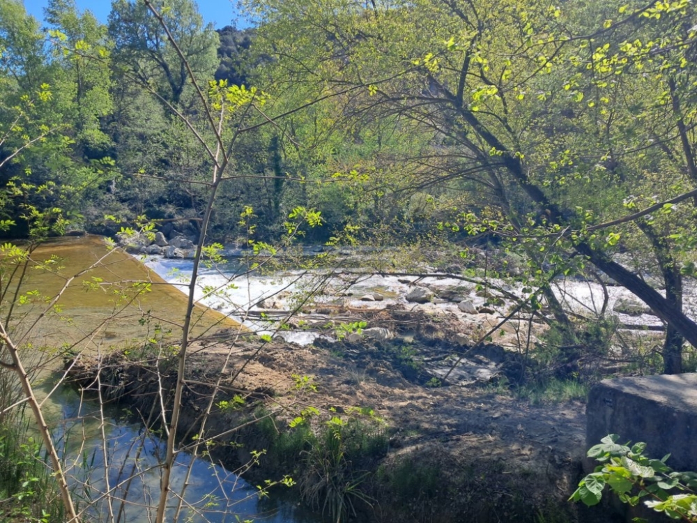 09/04/2026 : Vaison - Théos Image
